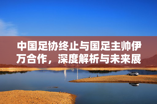 中国足协终止与国足主帅伊万合作，深度解析与未来展望