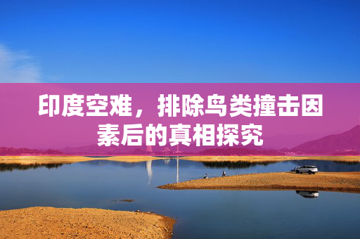 印度空难，排除鸟类撞击因素后的真相探究