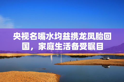 央视名嘴水均益携龙凤胎回国，家庭生活备受瞩目