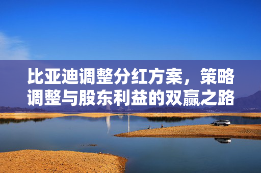 比亚迪调整分红方案，策略调整与股东利益的双赢之路