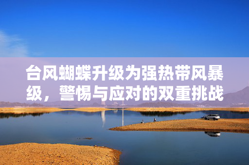 台风蝴蝶升级为强热带风暴级，警惕与应对的双重挑战