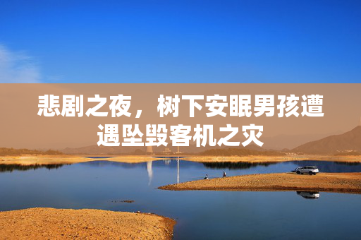 悲剧之夜，树下安眠男孩遭遇坠毁客机之灾