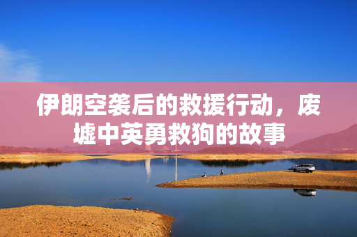 伊朗空袭后的救援行动，废墟中英勇救狗的故事