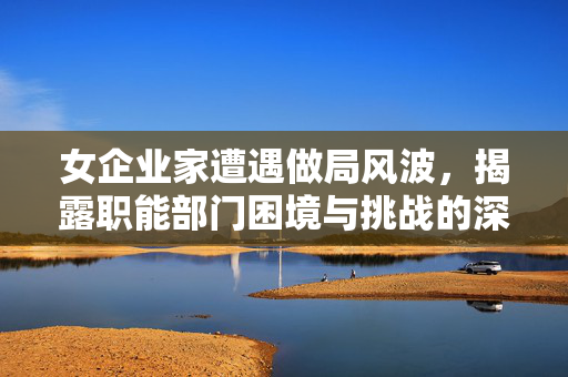 女企业家遭遇做局风波，揭露职能部门困境与挑战的深度解析