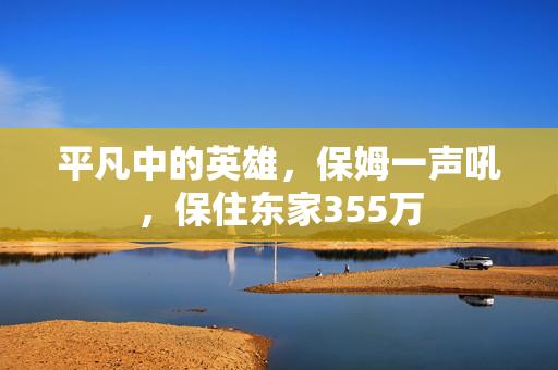 平凡中的英雄，保姆一声吼，保住东家355万