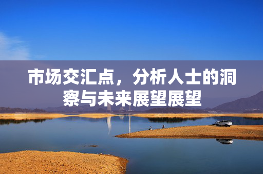 市场交汇点，分析人士的洞察与未来展望展望