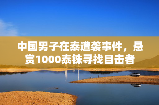 中国男子在泰遭袭事件，悬赏1000泰铢寻找目击者