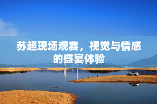 苏超现场观赛，视觉与情感的盛宴体验