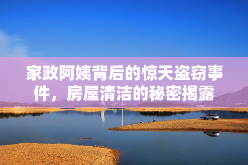 家政阿姨背后的惊天盗窃事件，房屋清洁的秘密揭露