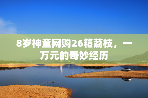 8岁神童网购26箱荔枝，一万元的奇妙经历