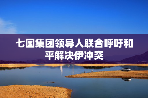 七国集团领导人联合呼吁和平解决伊冲突