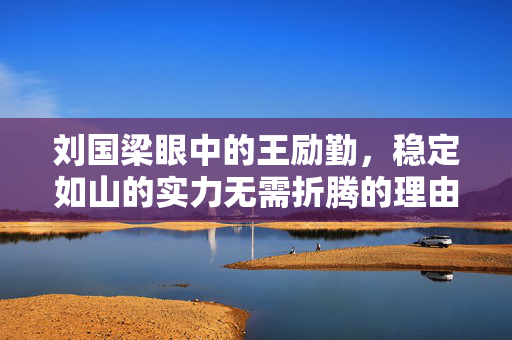 刘国梁眼中的王励勤，稳定如山的实力无需折腾的理由