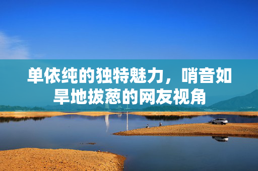 单依纯的独特魅力，哨音如旱地拔葱的网友视角