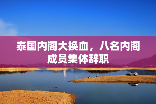 泰国内阁大换血，八名内阁成员集体辞职