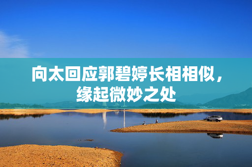 向太回应郭碧婷长相相似，缘起微妙之处