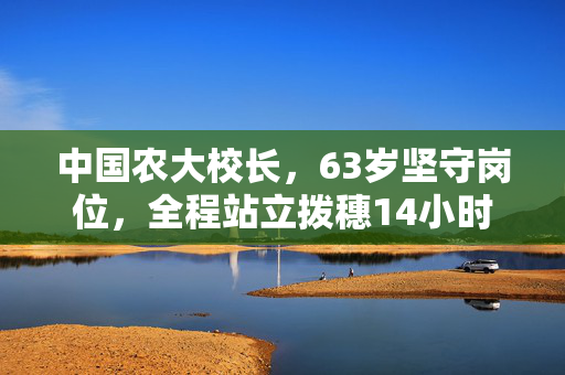 中国农大校长，63岁坚守岗位，全程站立拨穗14小时的奉献精神