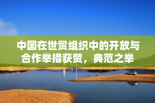 中国在世贸组织中的开放与合作举措获赞，典范之举