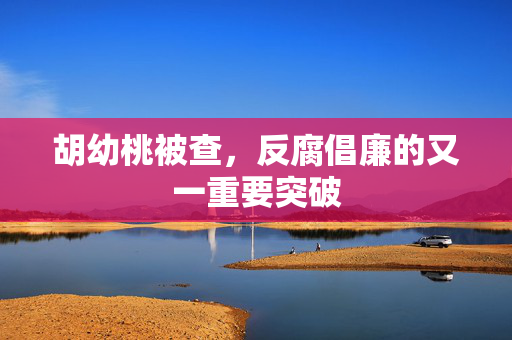 胡幼桃被查，反腐倡廉的又一重要突破