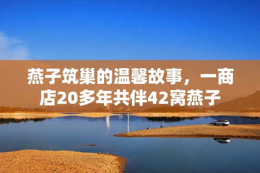 燕子筑巢的温馨故事，一商店20多年共伴42窝燕子