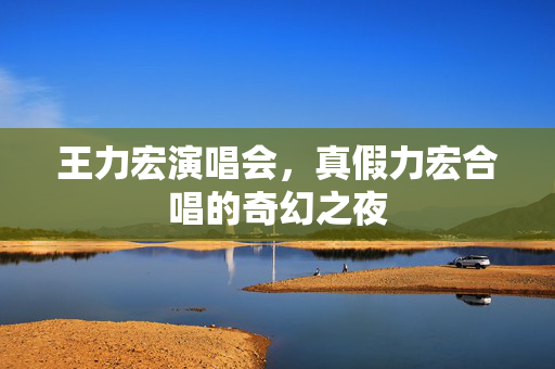 王力宏演唱会，真假力宏合唱的奇幻之夜