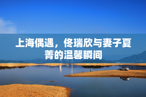 上海偶遇，佟瑞欣与妻子夏菁的温馨瞬间