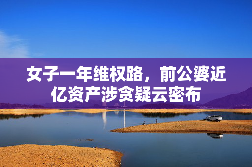 女子一年维权路，前公婆近亿资产涉贪疑云密布