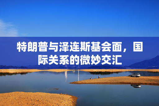 特朗普与泽连斯基会面，国际关系的微妙交汇