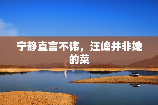 宁静直言不讳，汪峰并非她的菜
