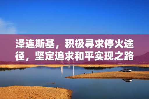 泽连斯基，积极寻求停火途径，坚定追求和平实现之路