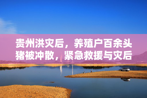 贵州洪灾后，养殖户百余头猪被冲散，紧急救援与灾后重建工作刻不容缓