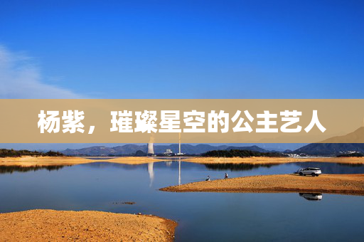 杨紫，璀璨星空的公主艺人