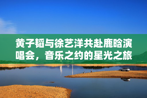 黄子韬与徐艺洋共赴鹿晗演唱会，音乐之约的星光之旅