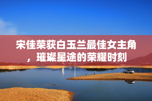 宋佳荣获白玉兰最佳女主角，璀璨星途的荣耀时刻