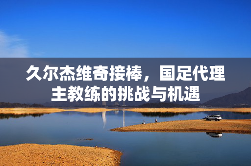 久尔杰维奇接棒，国足代理主教练的挑战与机遇