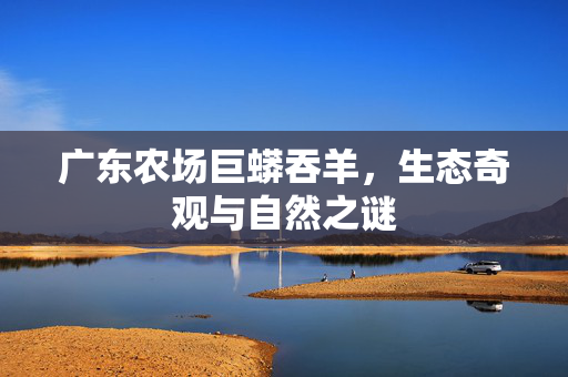 广东农场巨蟒吞羊，生态奇观与自然之谜