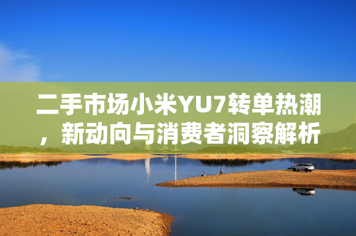 二手市场小米YU7转单热潮，新动向与消费者洞察解析