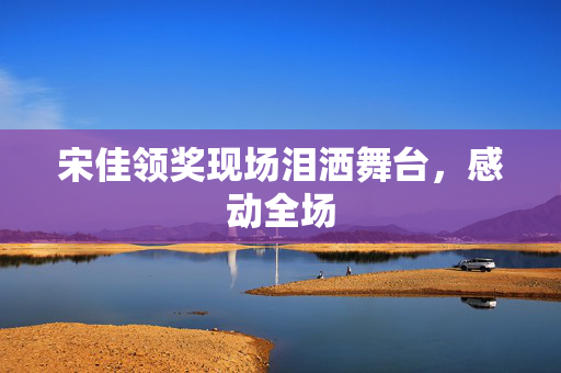 宋佳领奖现场泪洒舞台，感动全场