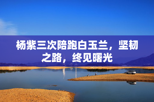 杨紫三次陪跑白玉兰，坚韧之路，终见曙光