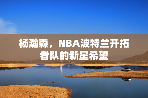 杨瀚森，NBA波特兰开拓者队的新星希望