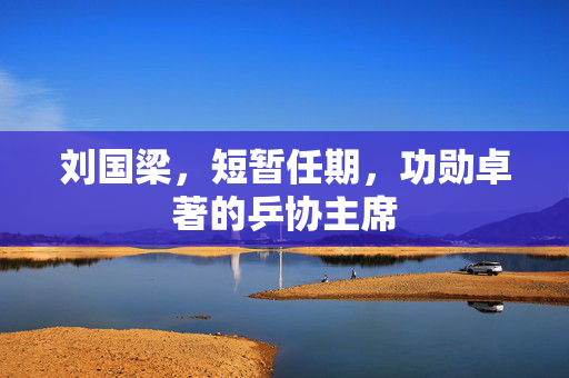 刘国梁，短暂任期，功勋卓著的乒协主席