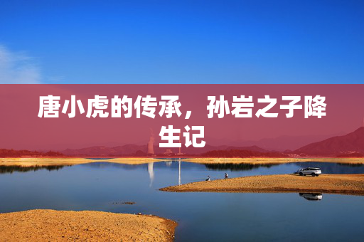 唐小虎的传承，孙岩之子降生记