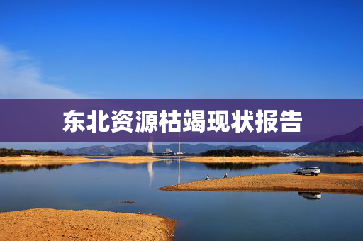 东北资源枯竭现状报告