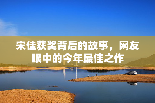 宋佳获奖背后的故事，网友眼中的今年最佳之作