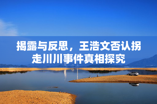 揭露与反思，王浩文否认拐走川川事件真相探究
