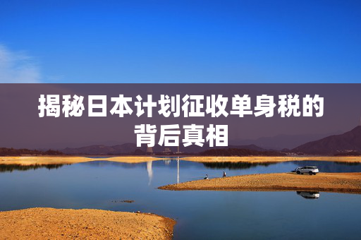 揭秘日本计划征收单身税的背后真相