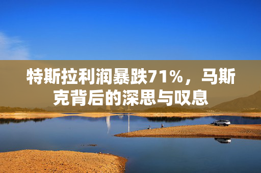特斯拉利润暴跌71%，马斯克背后的深思与叹息