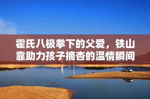 霍氏八极拳下的父爱，铁山靠助力孩子摘杏的温情瞬间