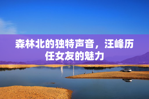 森林北的独特声音，汪峰历任女友的魅力