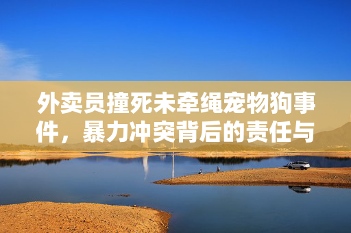 外卖员撞死未牵绳宠物狗事件，暴力冲突背后的责任与思考