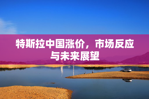 特斯拉中国涨价，市场反应与未来展望